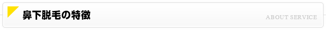 鼻下脱毛について