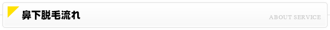 鼻下脱毛流れ