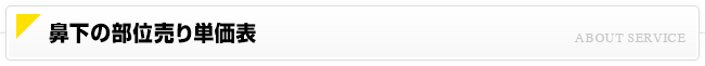 鼻下の部位売り単価表