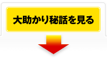 大助かり秘話を見る