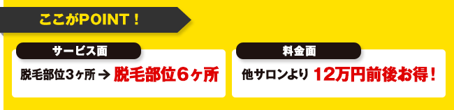 ここがPOINT！