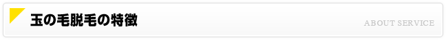 玉の毛脱毛の特徴