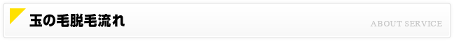 玉の毛脱毛流れ