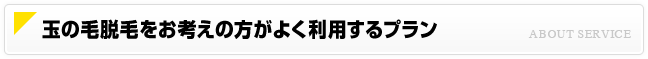 玉の毛脱毛をお考えの方がよく利用するプラン