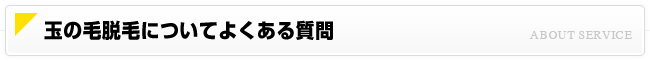 玉の毛脱毛について よくある質問