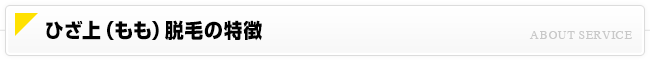 ひざ上（もも）脱毛について