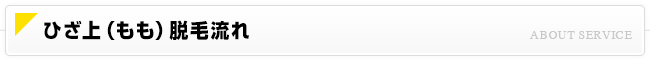 ひざ上（もも）脱毛流れ