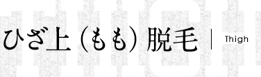 ひざ上（もも）脱毛
