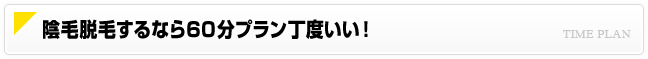 陰毛脱毛するなら60分プラン丁度いい！