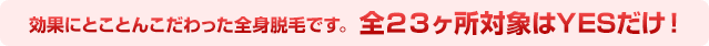 YESなら全身23ヶ所対象