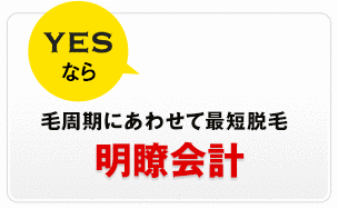 安心の価格設定