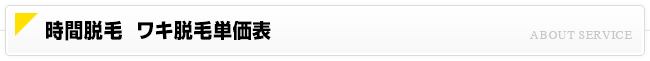 時間脱毛 ワキ脱毛価格一覧
