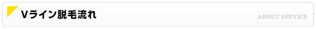 Vライン脱毛流れ