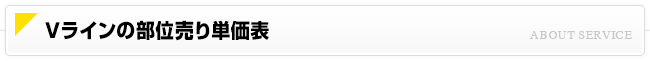 Vラインの部位売り単価表