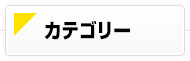カテゴリー